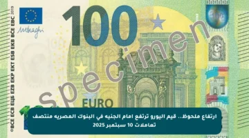 ارتفاع ملحوظ.. قيم اليورو ترتفع أمام الجنيه في البنوك المصرية منتصف تعاملات 10 سبتمبر 2025